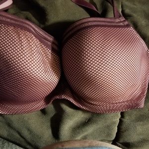 Lane Bryant bra